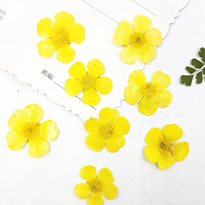 1.5-2cm/24pcs,Nature Real Butt - đánh giá và giá Holiday Candle Set
