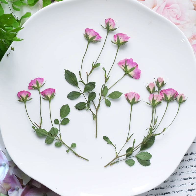 12pcs,Mini Pink Rose Pressed F - đánh giá và giá Holiday Candle Set
