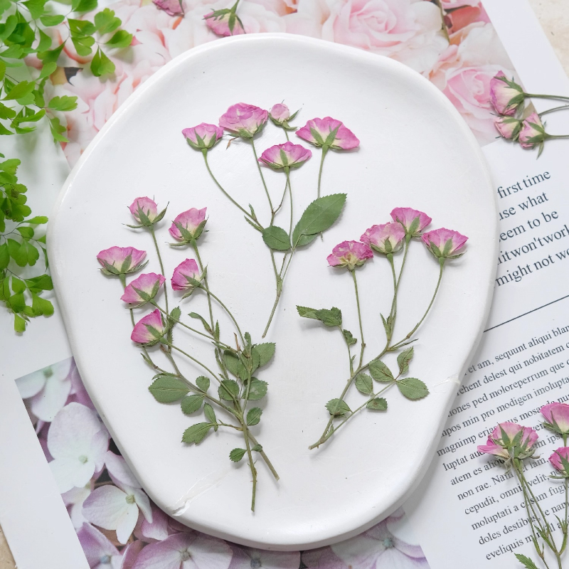 12pcs,Mini Pink Rose Pressed F - đánh giá và giá Holiday Candle Set